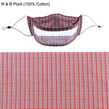 Load image into Gallery viewer, Red and Blue Plaid Clear Transparent Window Mask for the Seeing visual expression 
